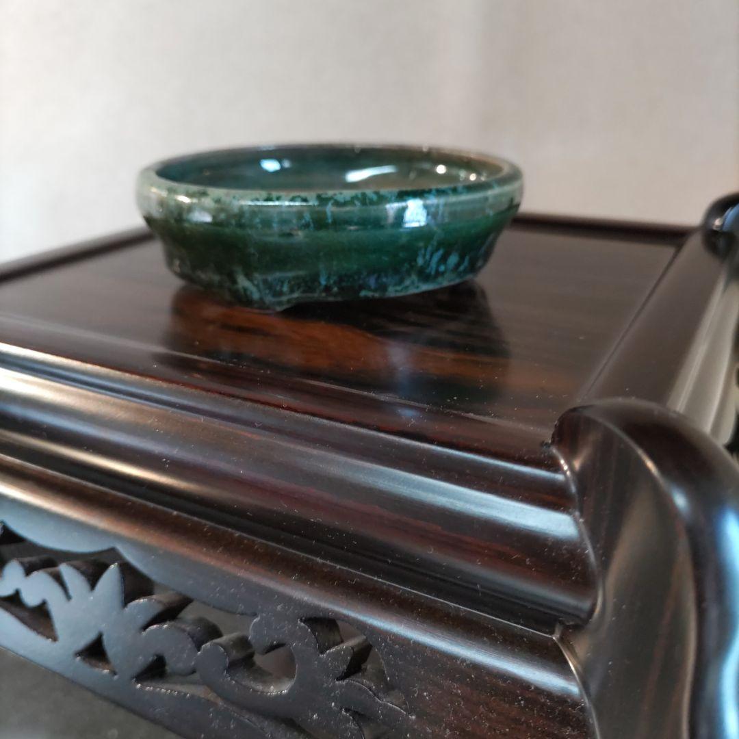 義村秀峰の豆鉢、未使用鉢、常滑焼、盆栽鉢、皿鉢、植木鉢、ミニ盆栽鉢、小品盆栽鉢