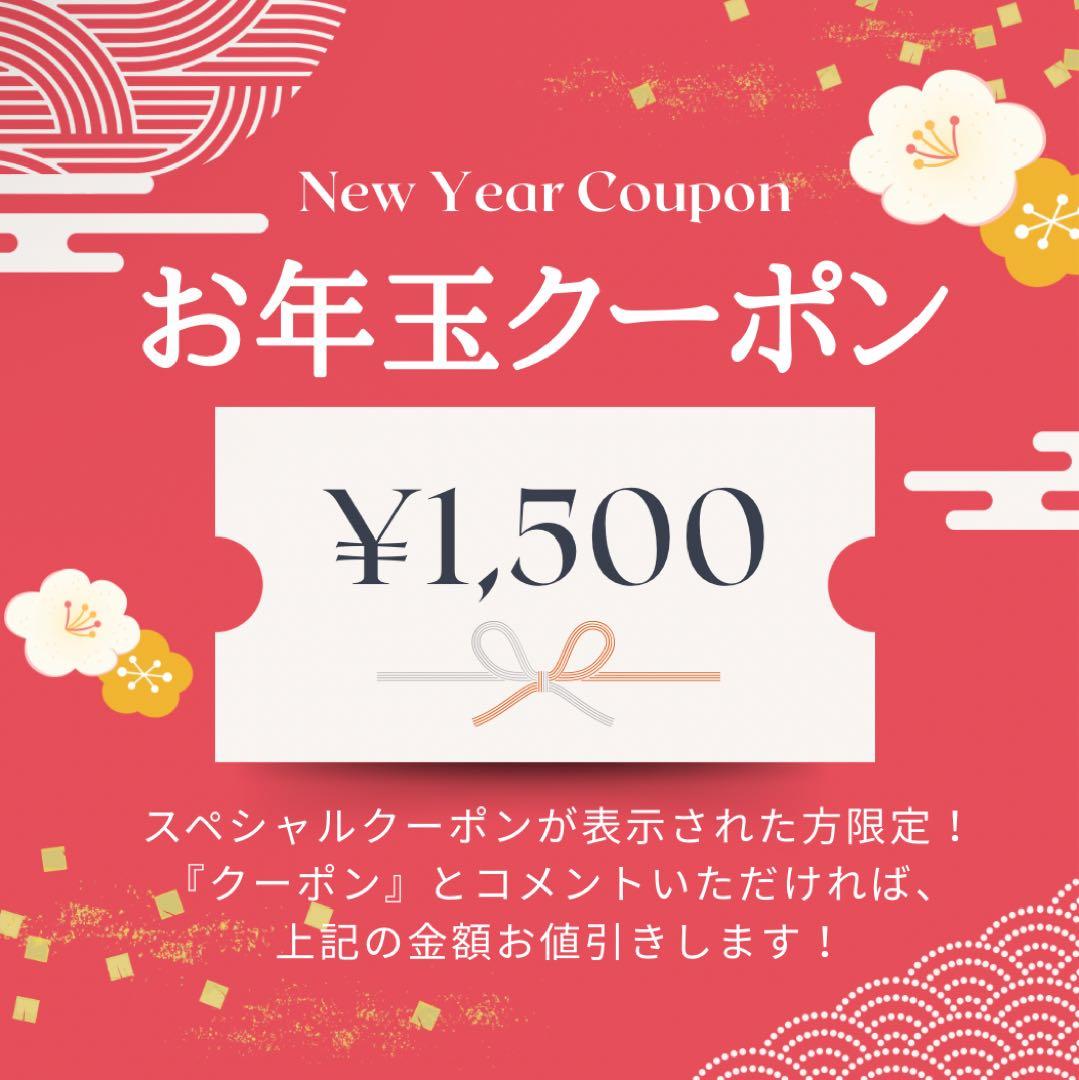 お年玉で一眼レフを始めよう✨Nikon D5500✨シングルレンズ✨高画質✨