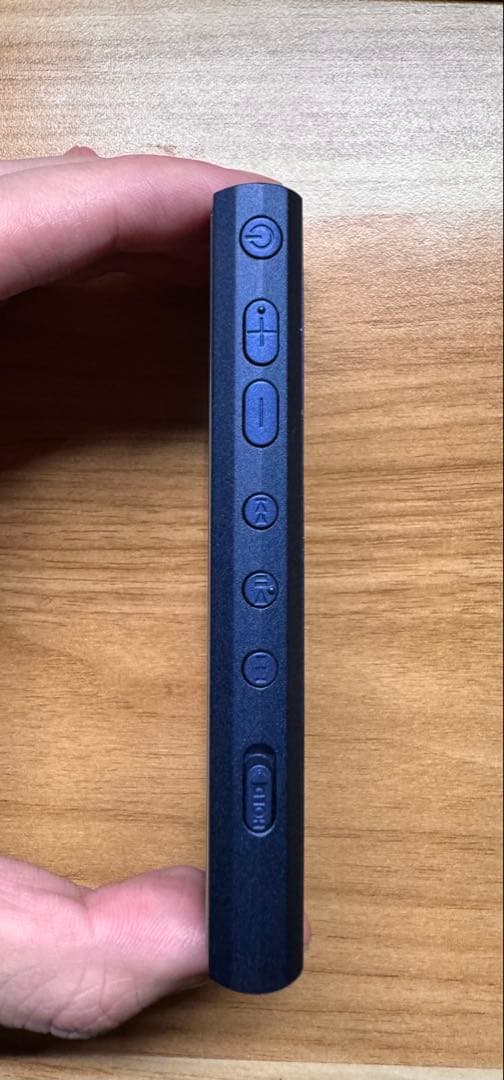 【中古・美品】NW-A306 [32GB]　ブルー 専用ケース付き