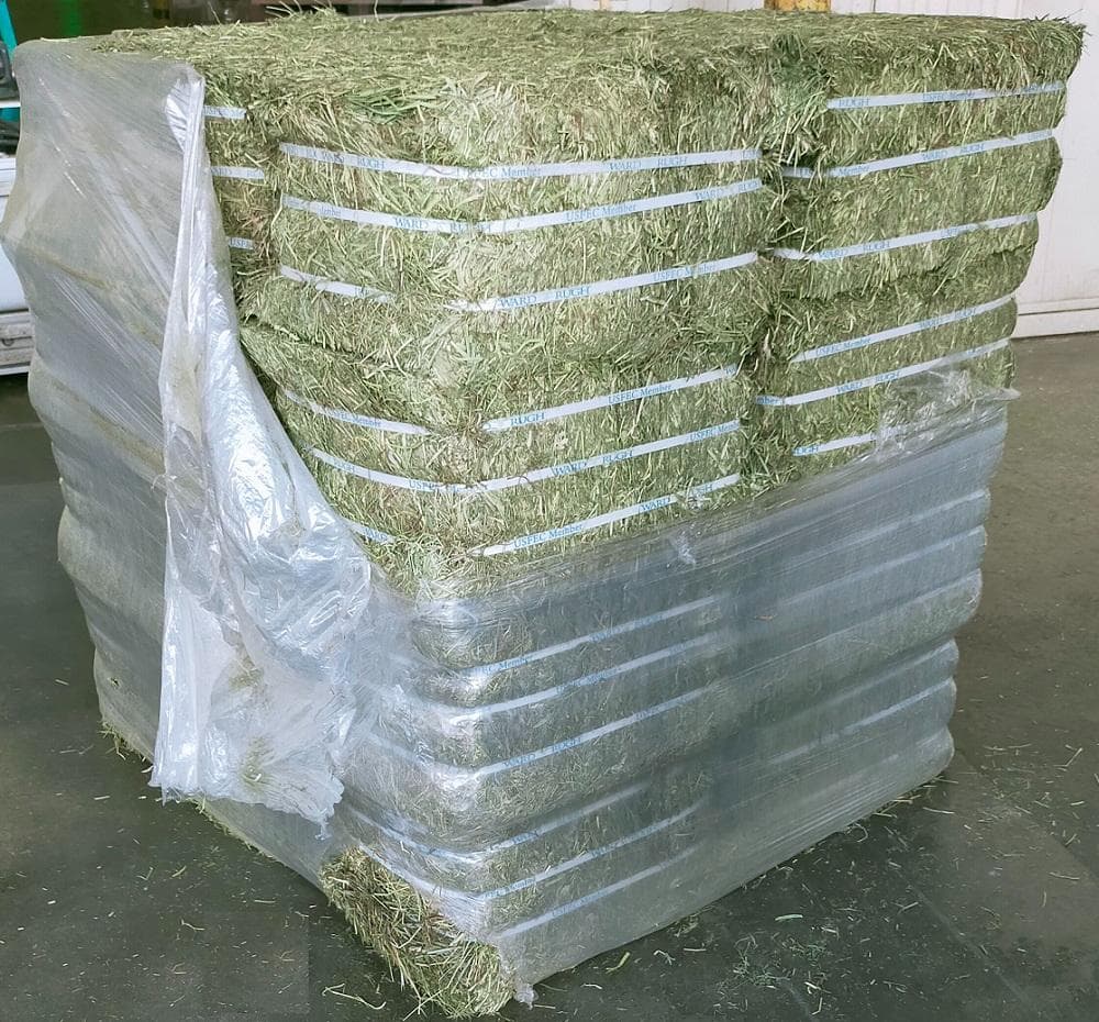 【2/9まで】US産 チモシー 30kg ２番刈り ソフトSプレミアム