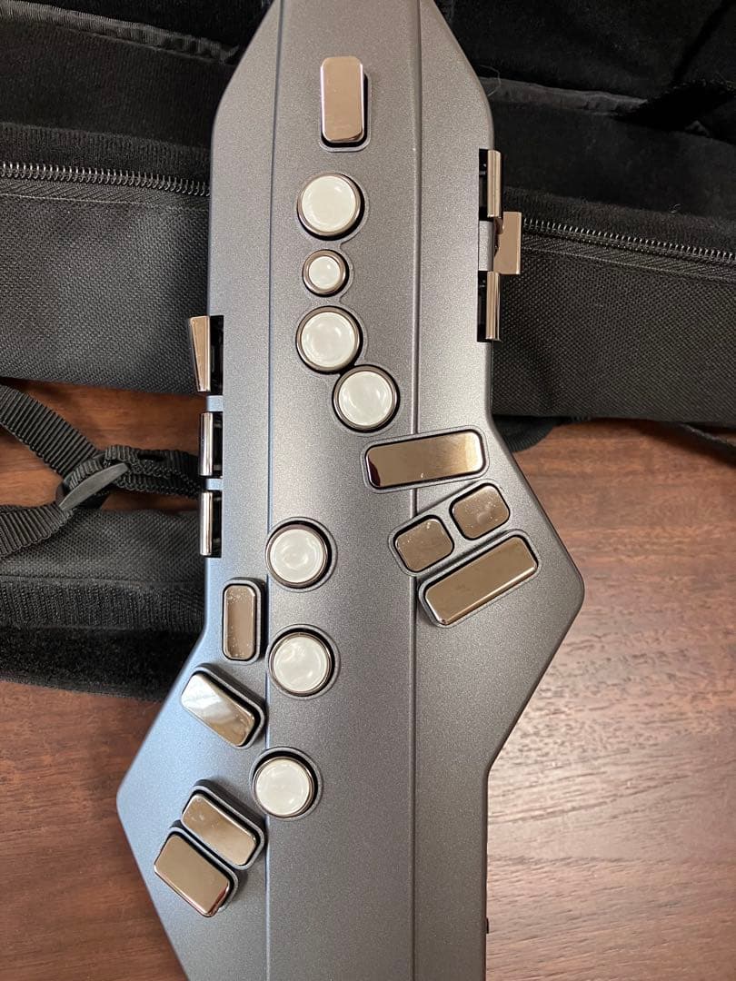 Roland Aerophone GO AE-05　取扱説明書とガイドブック付き