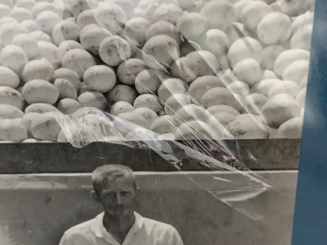 芸術写真 Lee Friedlander : Workers Human Clay