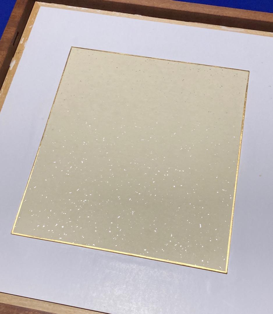 真作 野間仁根 かれい◆水彩、額装済