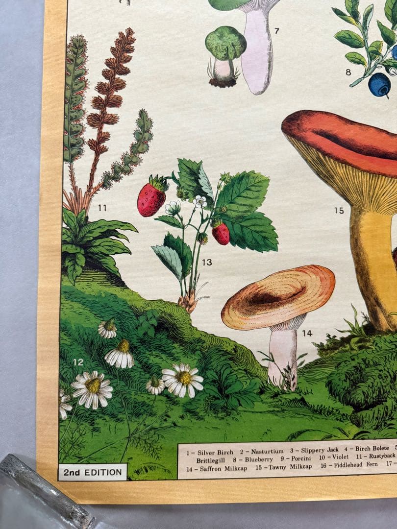 古着 ビンテージ USA きのこ 植物図鑑 サイケデリック ポスター 希少 美品