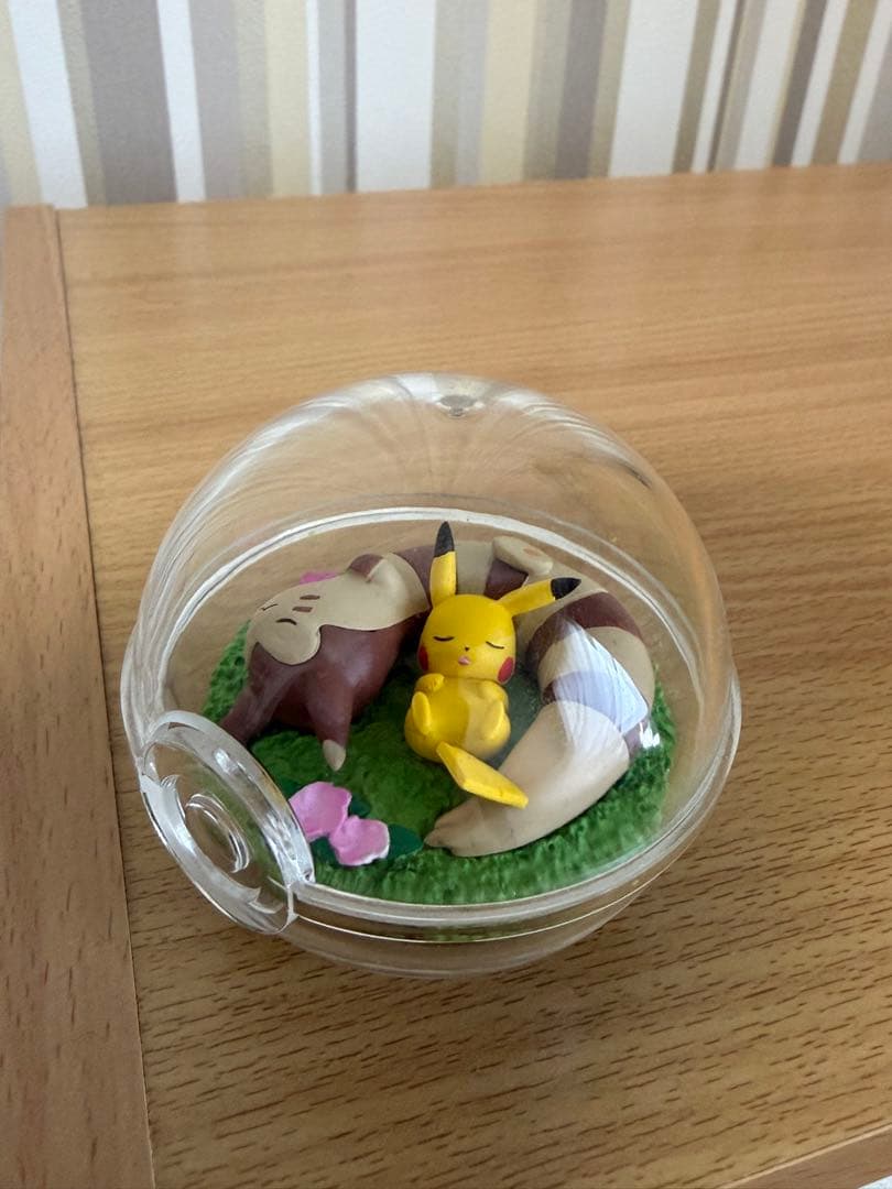 ポケモン テラリウム コレクション まとめ売り セット ディスプレイケース付き