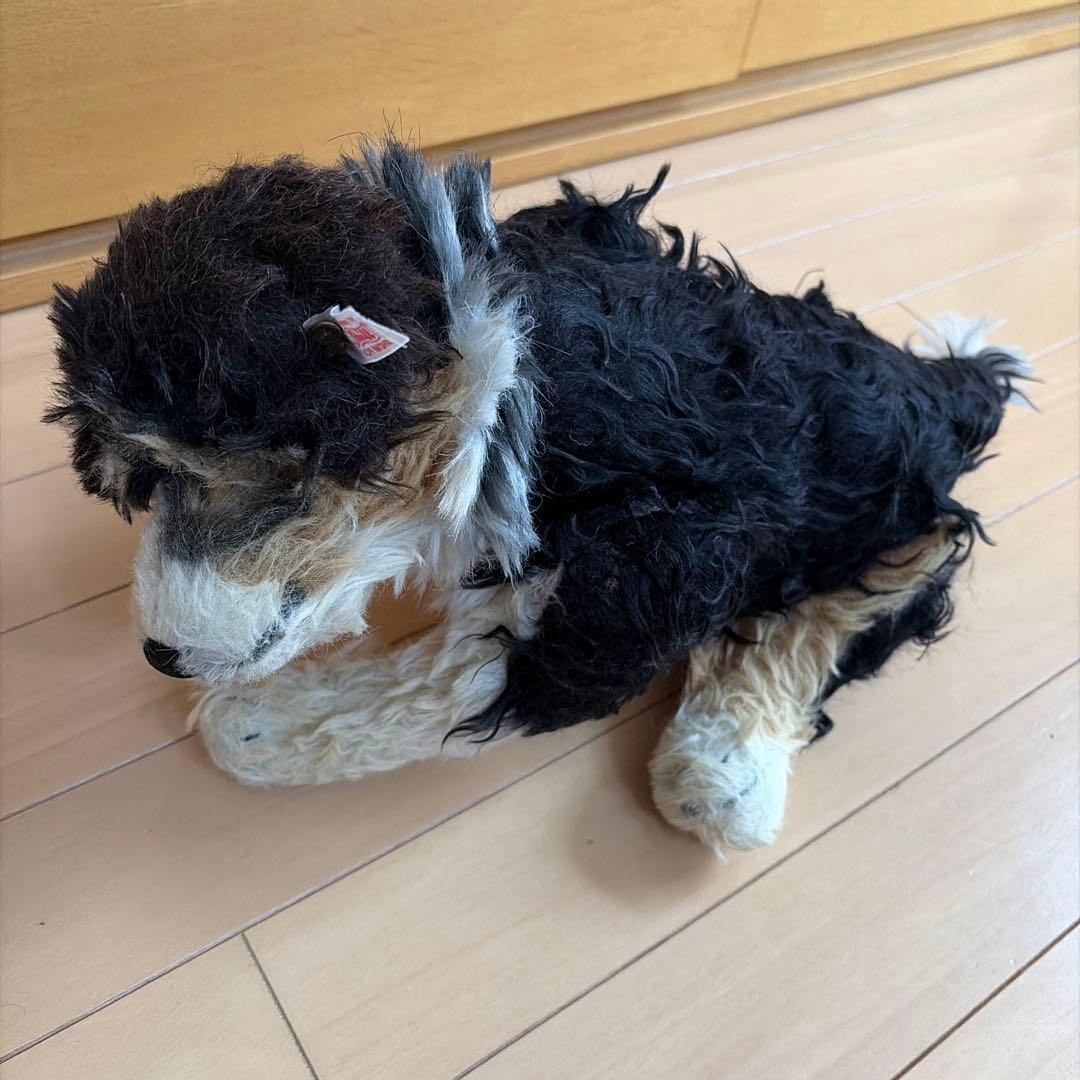 シュタイフ　犬　ぬいぐるみ　オーストラリアンシェパード