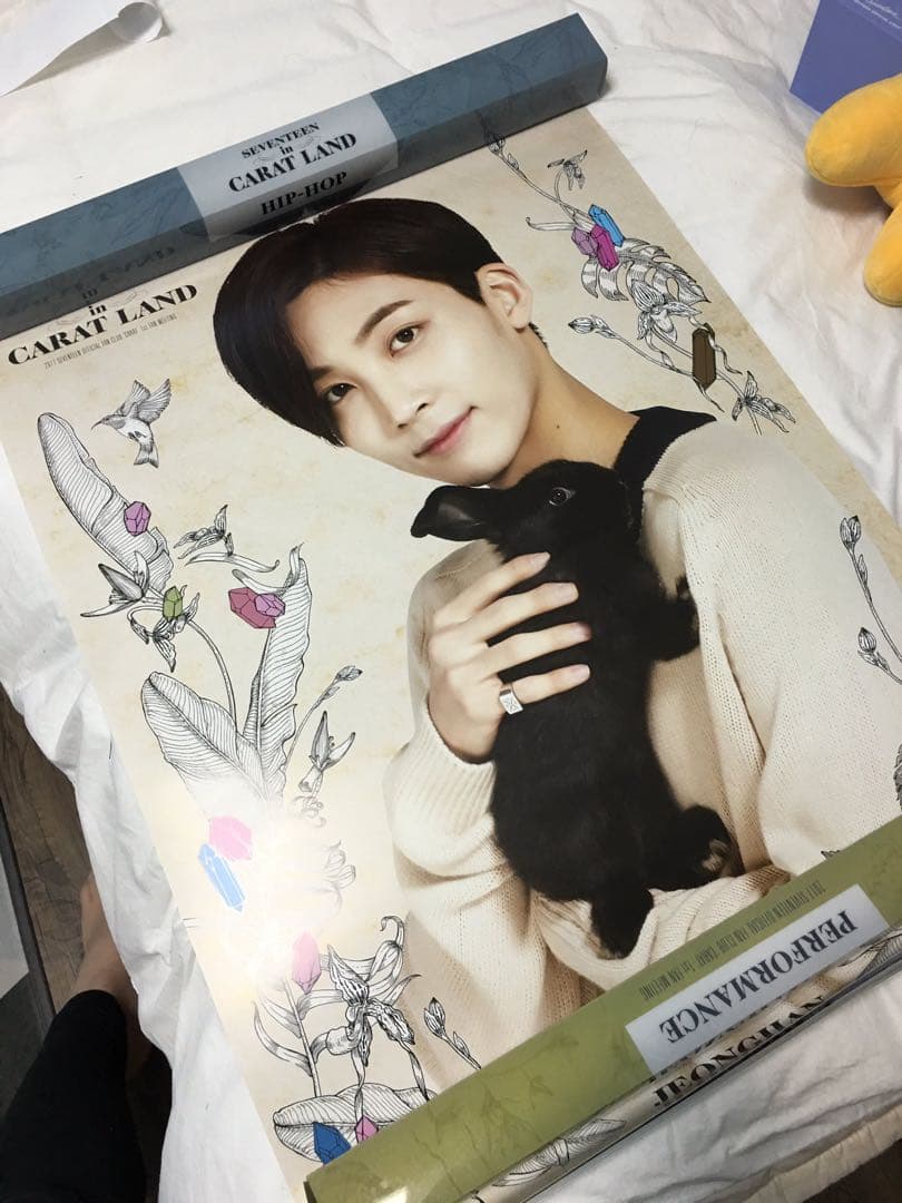 SEVENTEEN 2017 ペンミ ボカチ ポスターセット