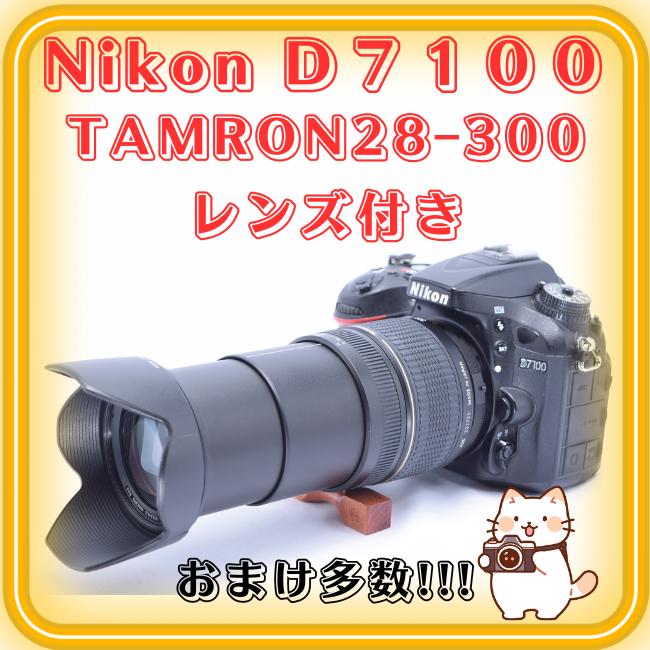 Nikon D7100 TAMRON 28-300mm 超望遠高倍率レンズ
