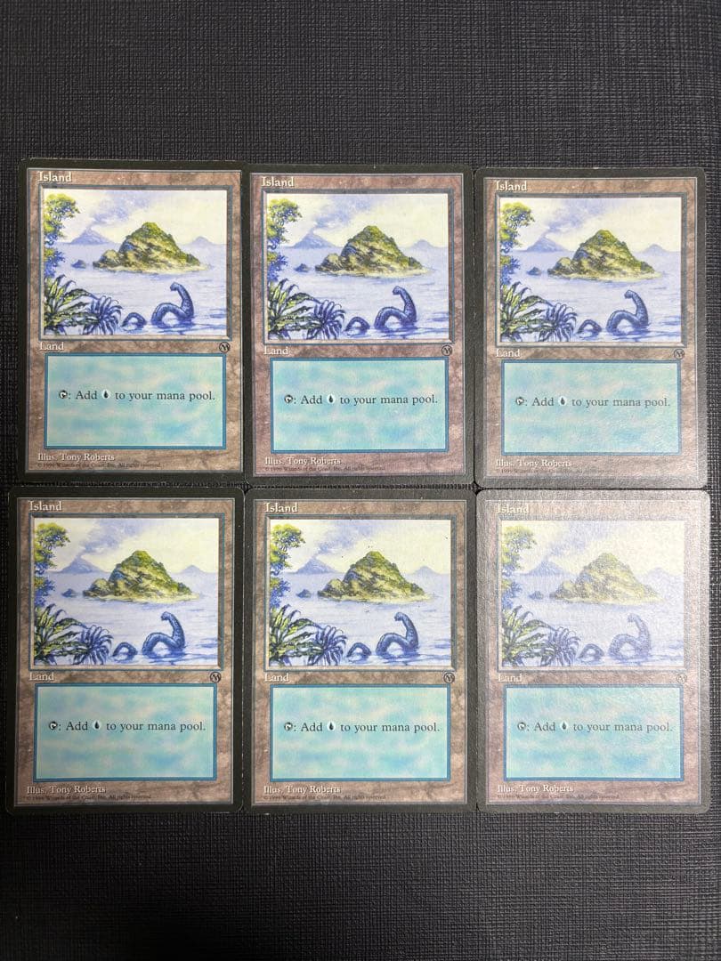 初代アリーナランド 島