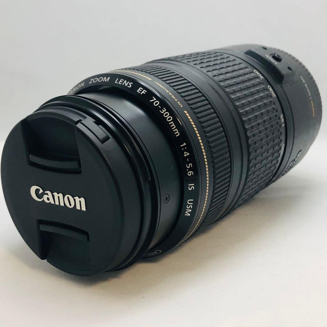 キャノンCanon EF70-300mm F4-5.6 IS USM