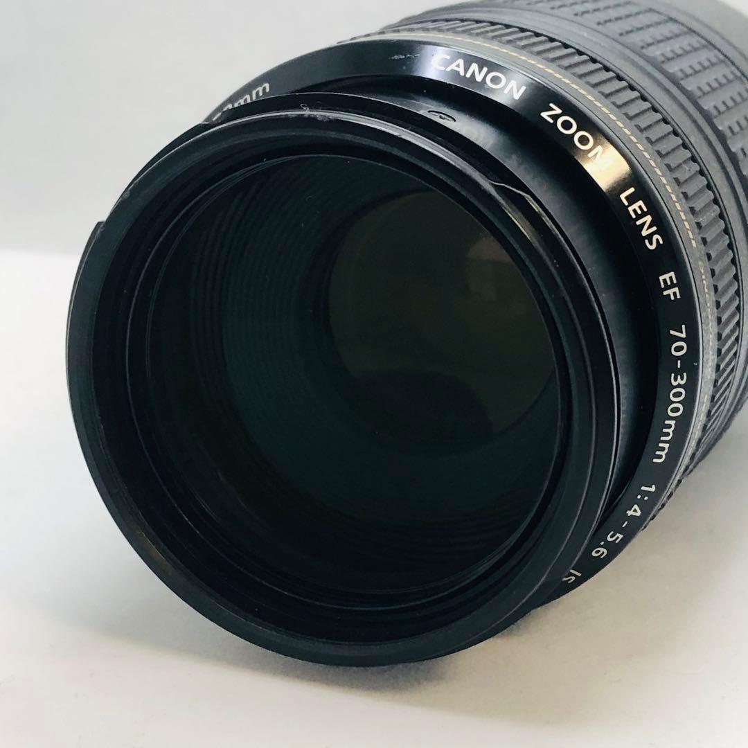 キャノンCanon EF70-300mm F4-5.6 IS USM