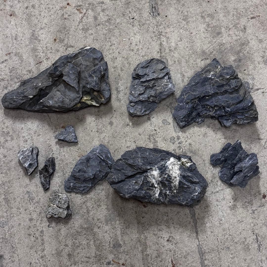 ADA龍王石 竜王石　セット　良型　1