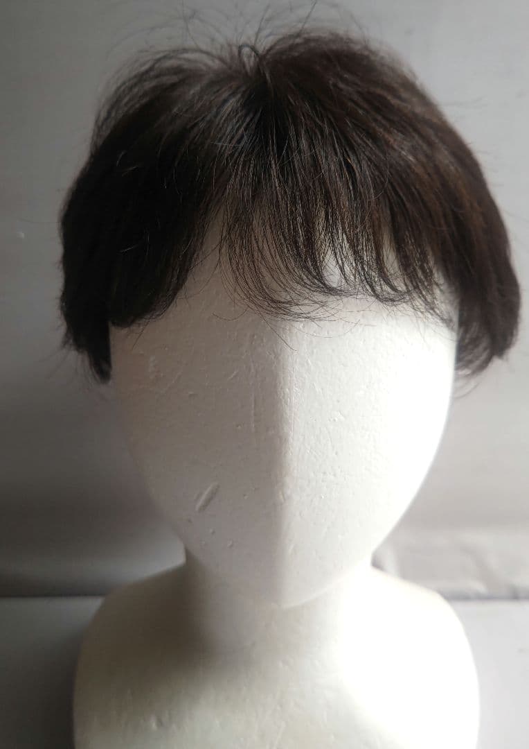 アートネイチャー　ジュリア・オージェ　ハーフウィッグ　さらら