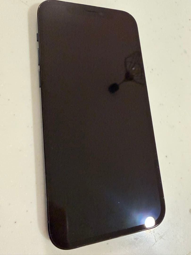 【美品】iPhone 12 Pro パシフィックブルー　256G SIMフリー