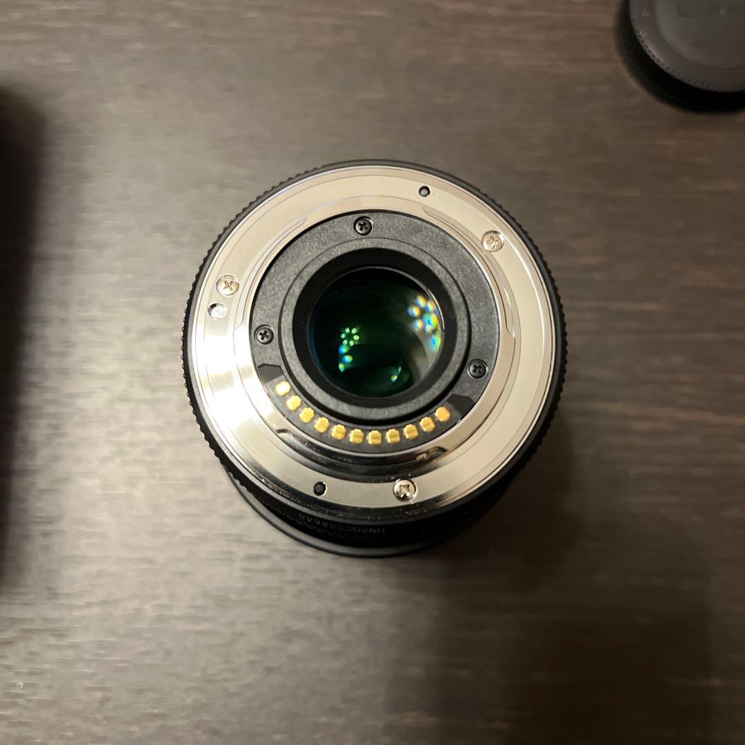 Panasonic LUMIX G 45-175mm レンズ
