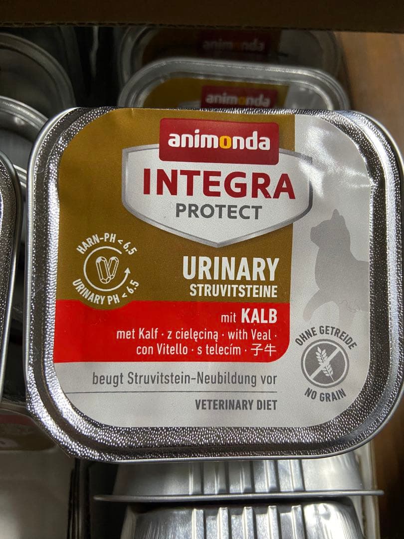 アニモンダ　猫用療養食31個　ストルバイト結石