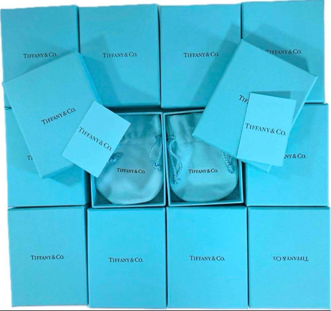 現行品Tiffanyティファニー空箱巾着取扱説明書12セット