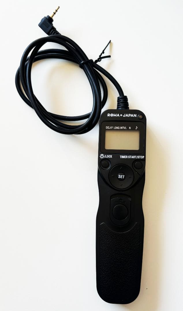 ビデオカメラ Canon EOS R6