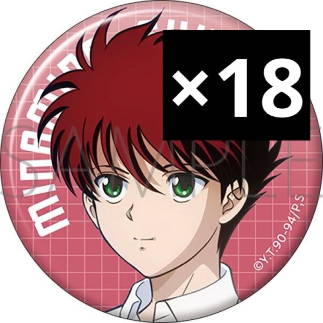 幽遊白書 Summer 南野秀一 蔵馬 缶バッジ18個セット