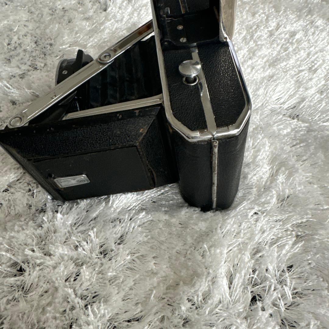 ケース付き 蛇腹カメラ