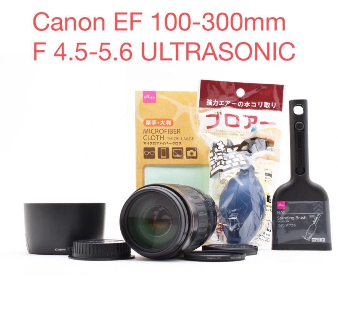 レンズ(ズーム) Canon EF 100-300mm F 4.5-5.6 ULTRASONIC