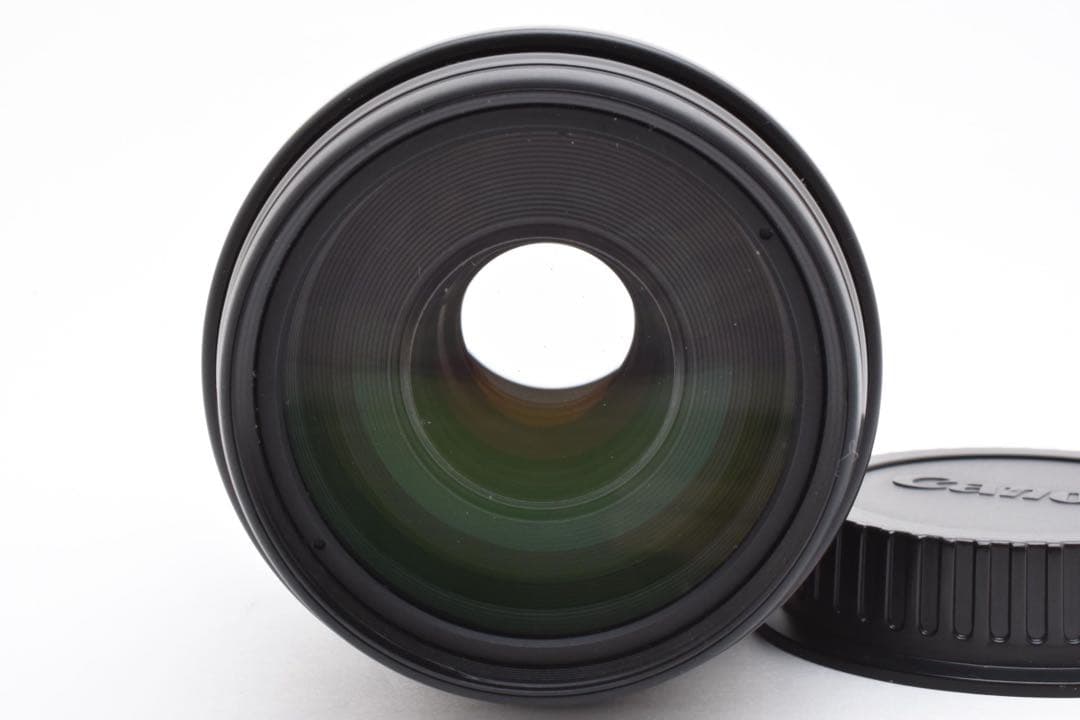 レンズ(ズーム) Canon EF 100-300mm F 4.5-5.6 ULTRASONIC