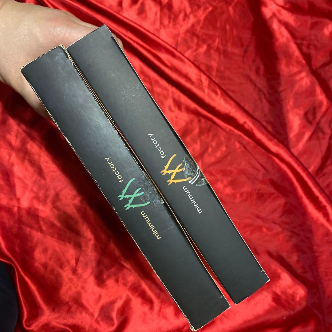 マクロス　プラモデル　ミンメイ　早瀬　ミサ　1/20 未開封　プラマックス