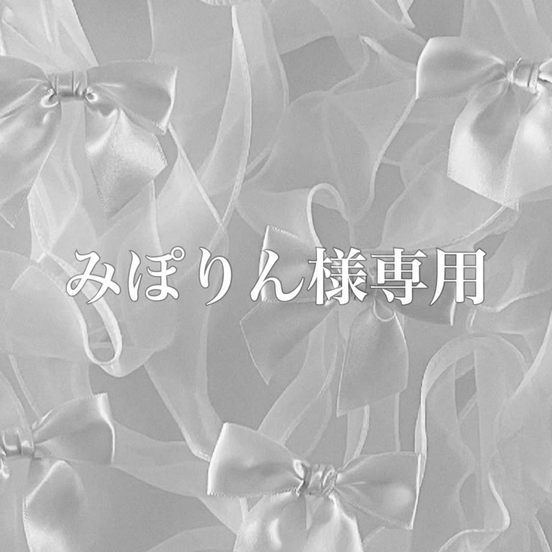 みぽりん　No.4&No.T2 No.19&テリアケース