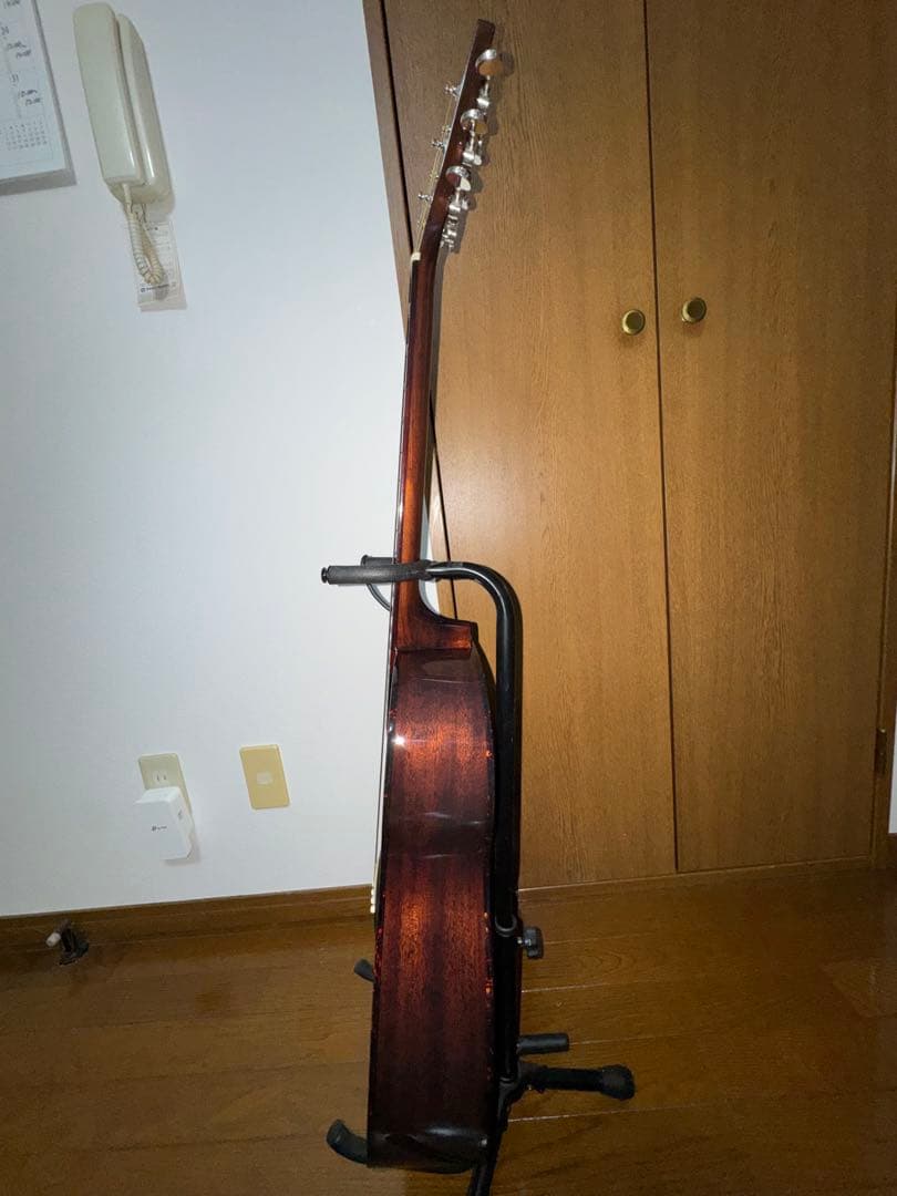 Recording King RO-G6スプルース単板トップ 弦高調整済み