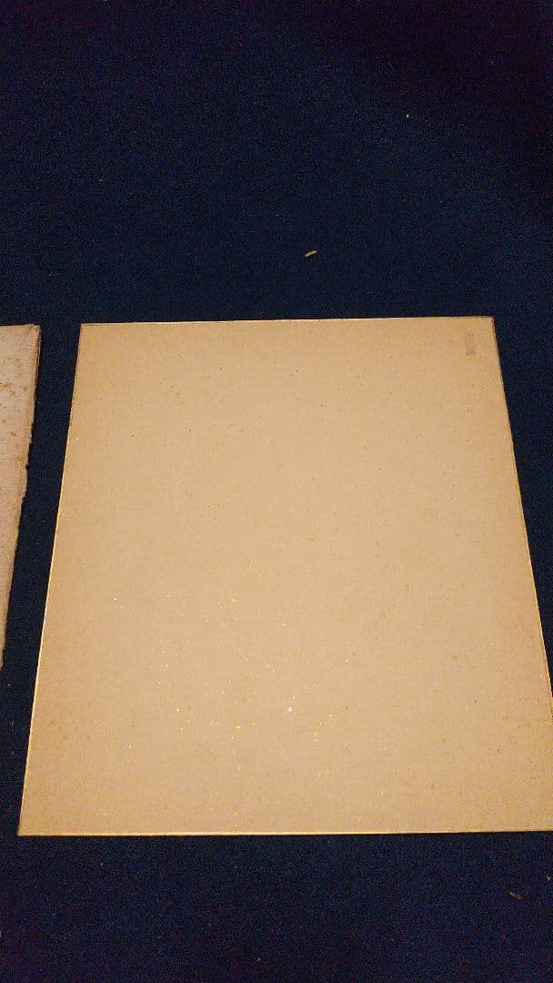 小説家 画家 武者小路実篤 肉筆色紙 「柿」