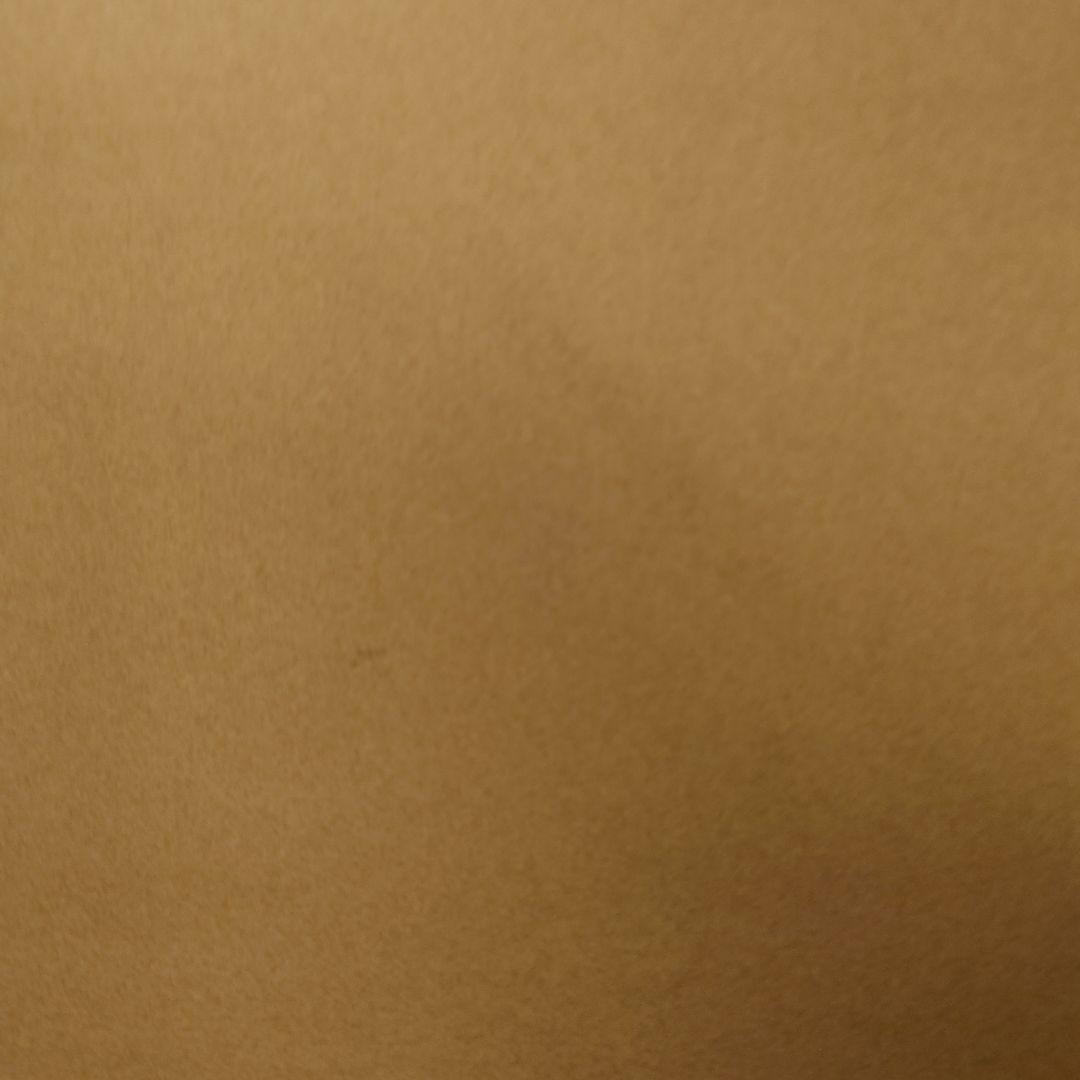 アイドル チェキ　専用ページ