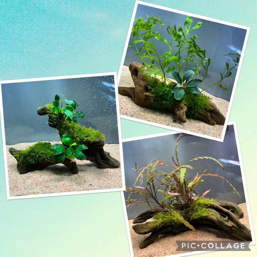 マサムネ様 リクエスト 3点 まとめ商品