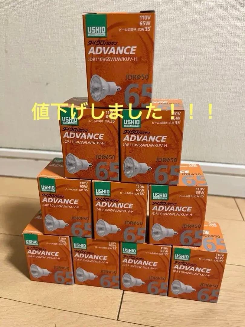 USHIO JDR110V65WLW/KUV-H 65W電球