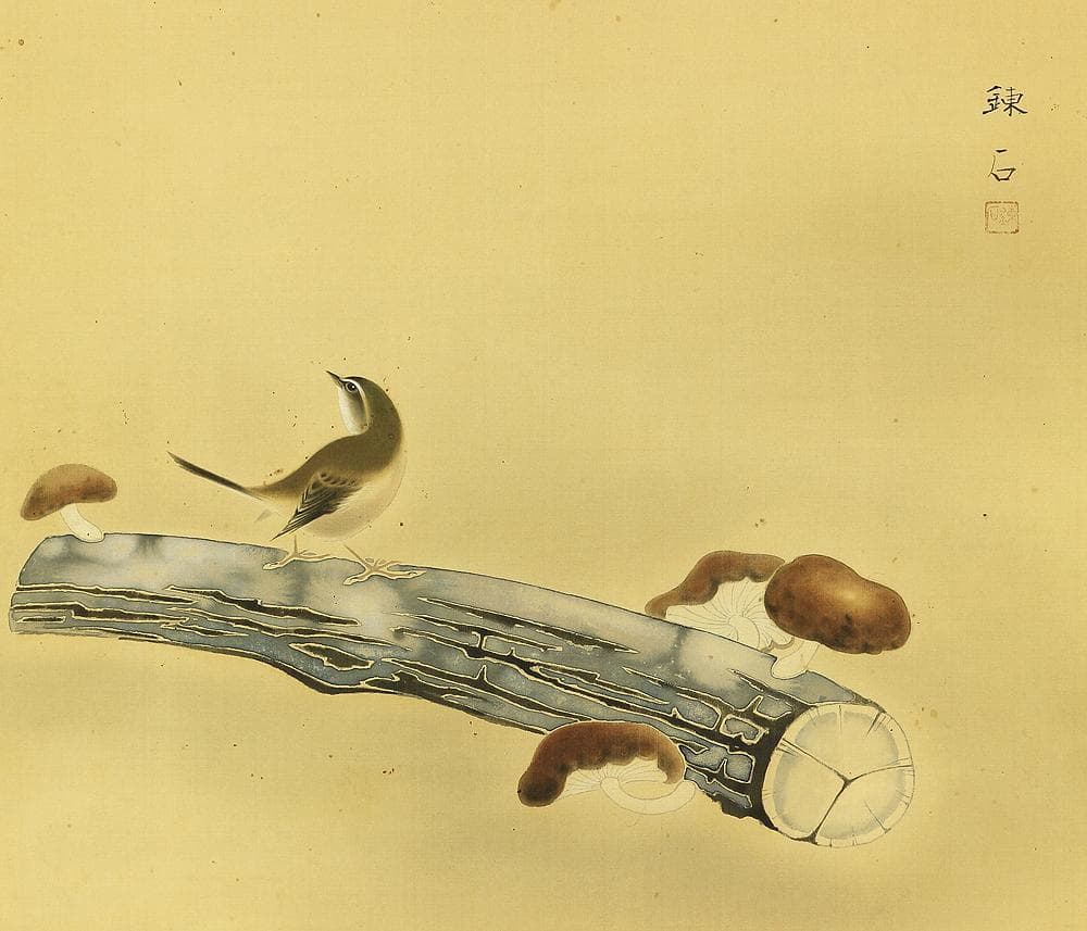 岡田錬石 1904-1995 東京 蔦谷龍岬師事「鴬に茸」掛軸 肉筆 絹本