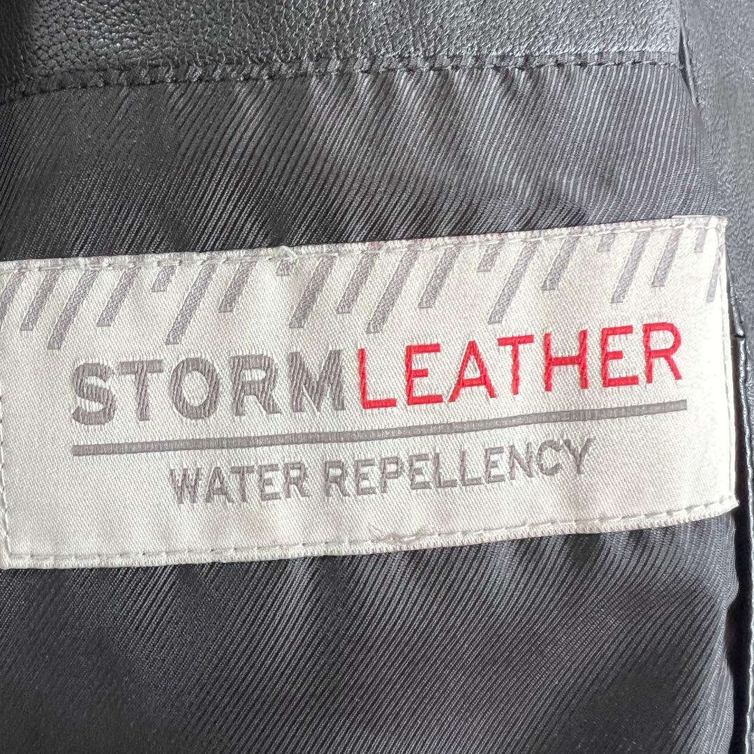 00s　Eddie Bauer　ストームレザー　スタンドカラージャケット　L