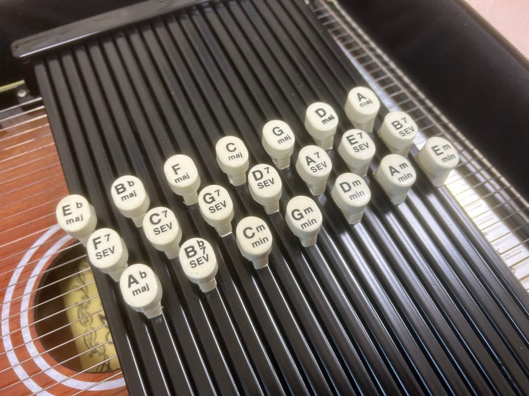 良品 Aria Cordiharp ハープ本体　ケース付き