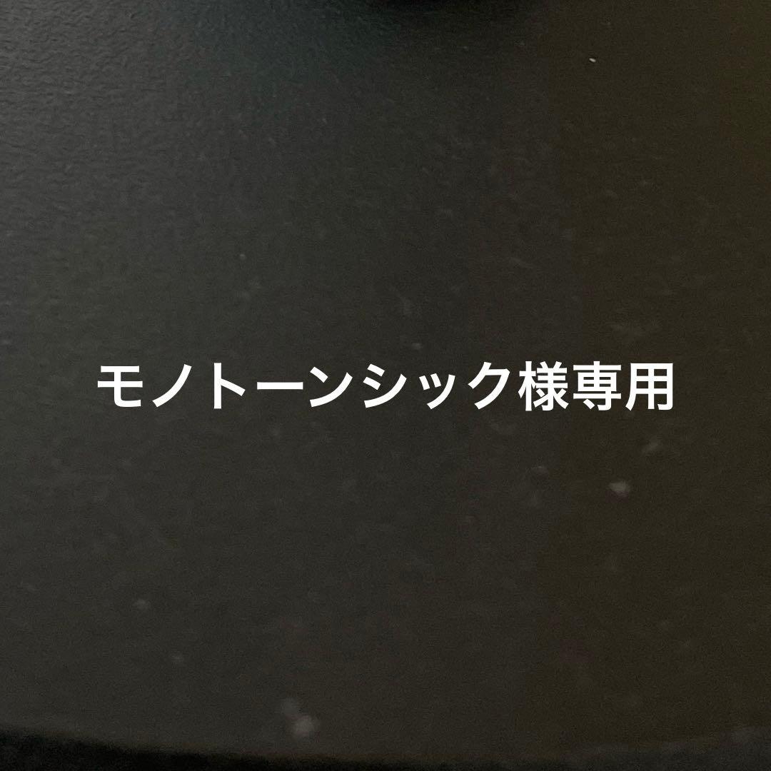 専用の為、他の方は購入しないで下さい