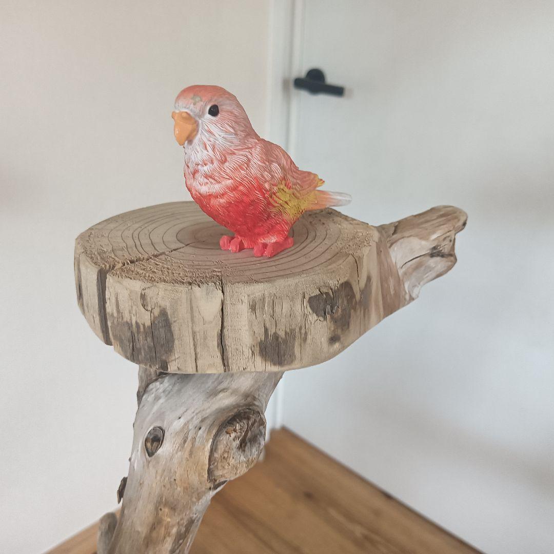 バードアスレチックジム大型 ② 天然木 自然木 流木 インコ おもちゃ