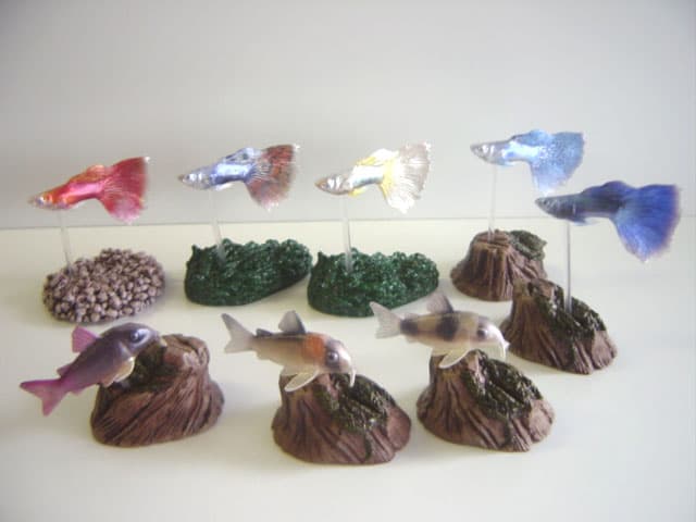 ★Gfg23GzデジタルグレードDG熱帯魚フルコンプ全15種