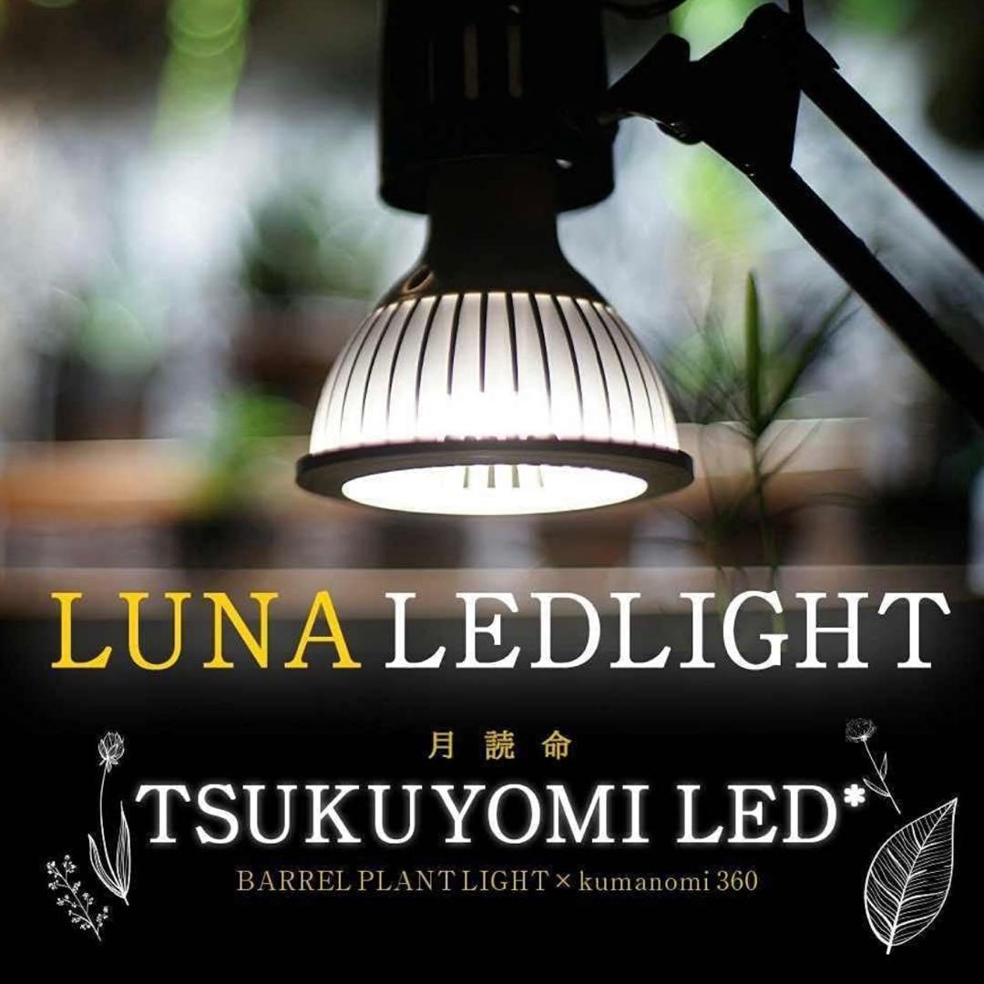 barrel TSUKUYOMI (ツクヨミ) LED 20W+ソケット付き