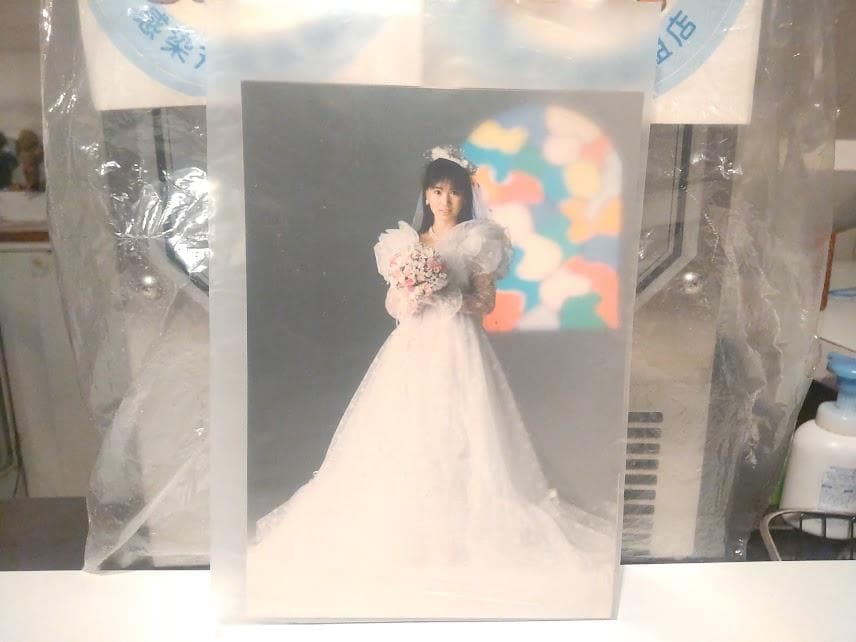 夕やけニャンニャン おニャン子クラブ 高井麻巳子 公式 写真 プロマイド 2枚