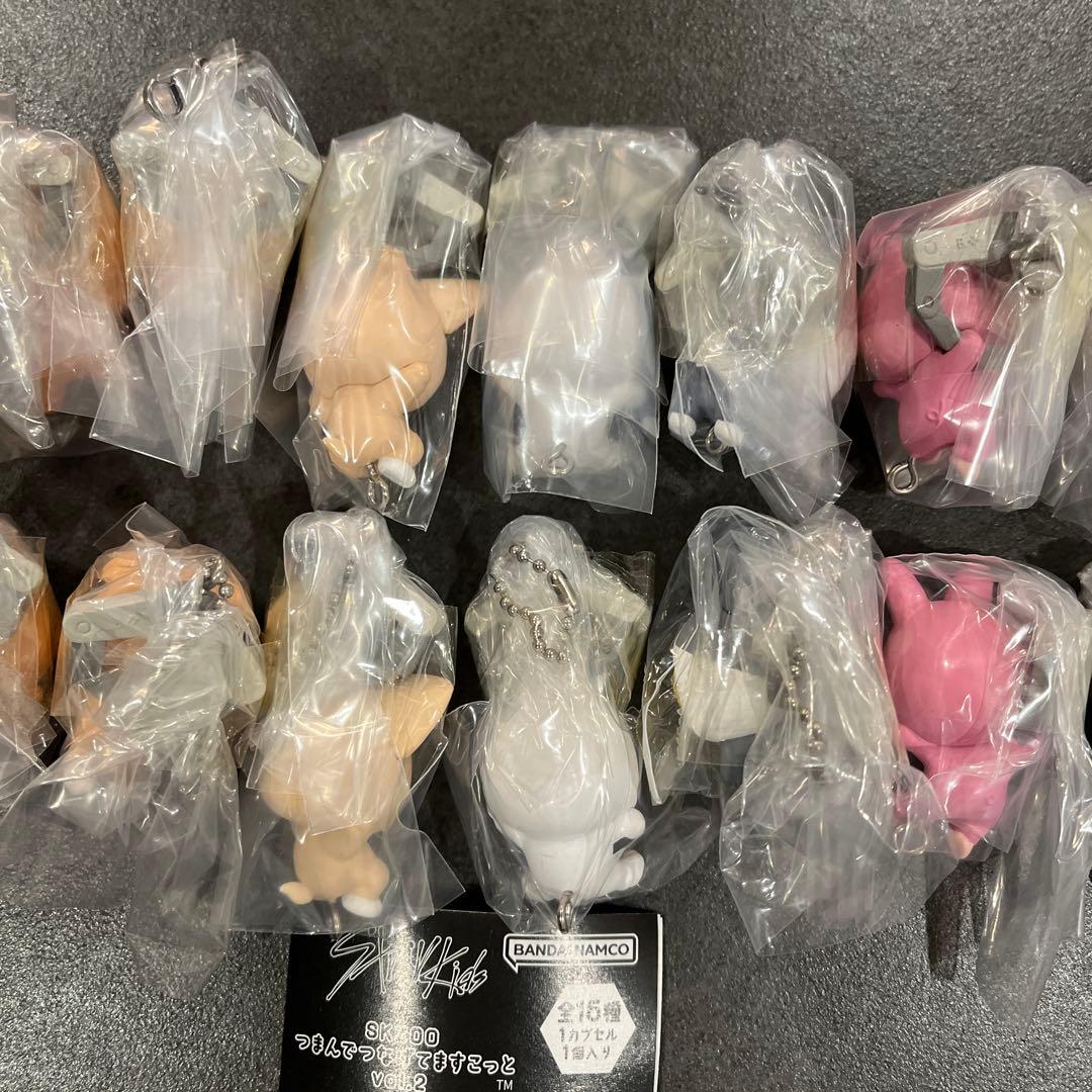 【16種コンプリート】SKZOO つまんでつなげてますこっと vol.2