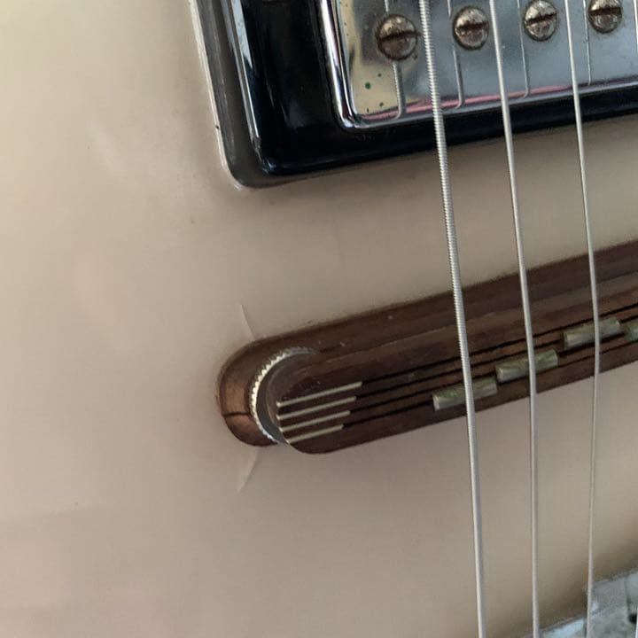 渡*輝様 Italia Guitars Mondial