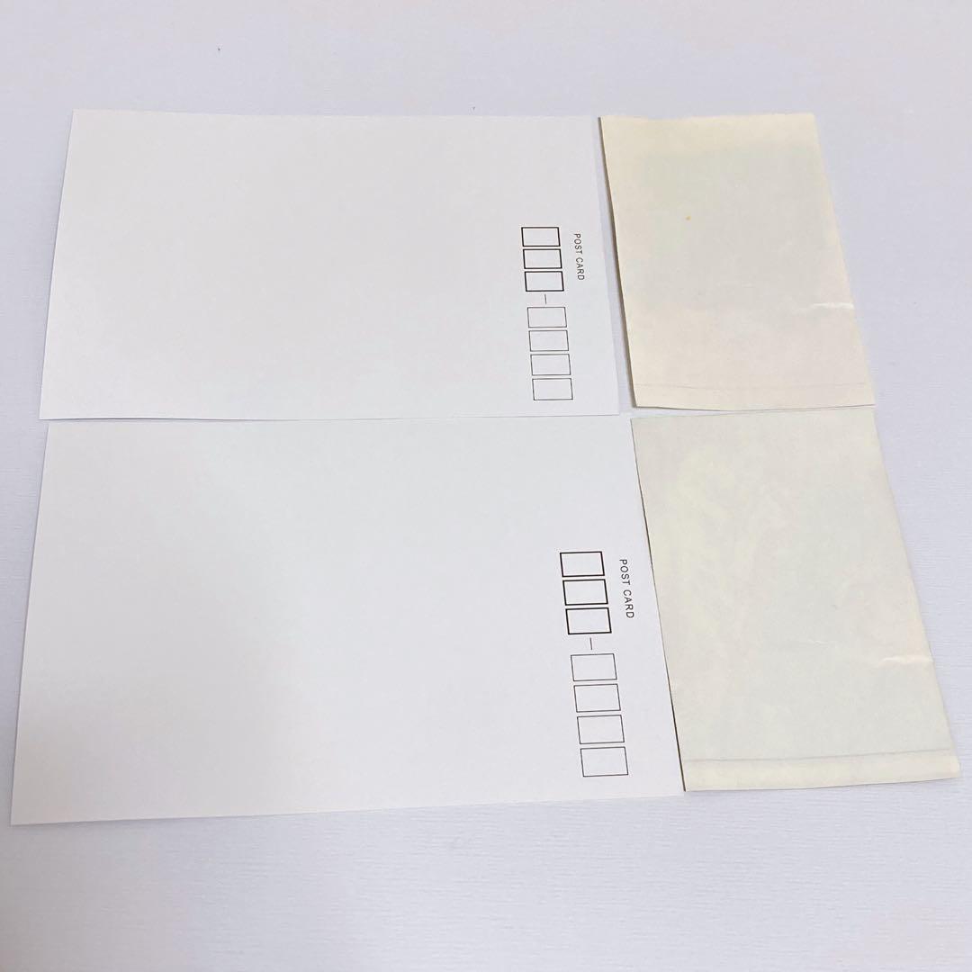 Selena Gomez セレーナゴメス 直筆サイン色紙 おまけ付き