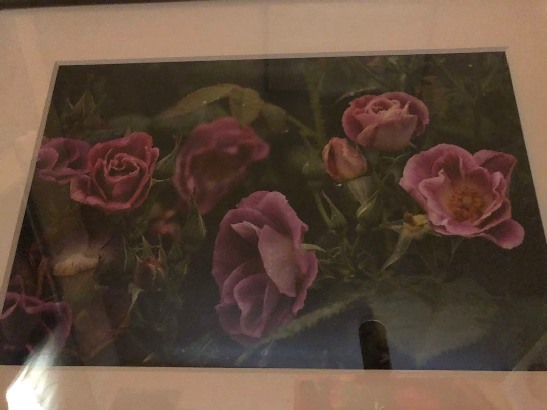 写真家　宮下利光のフラワーアートフォト