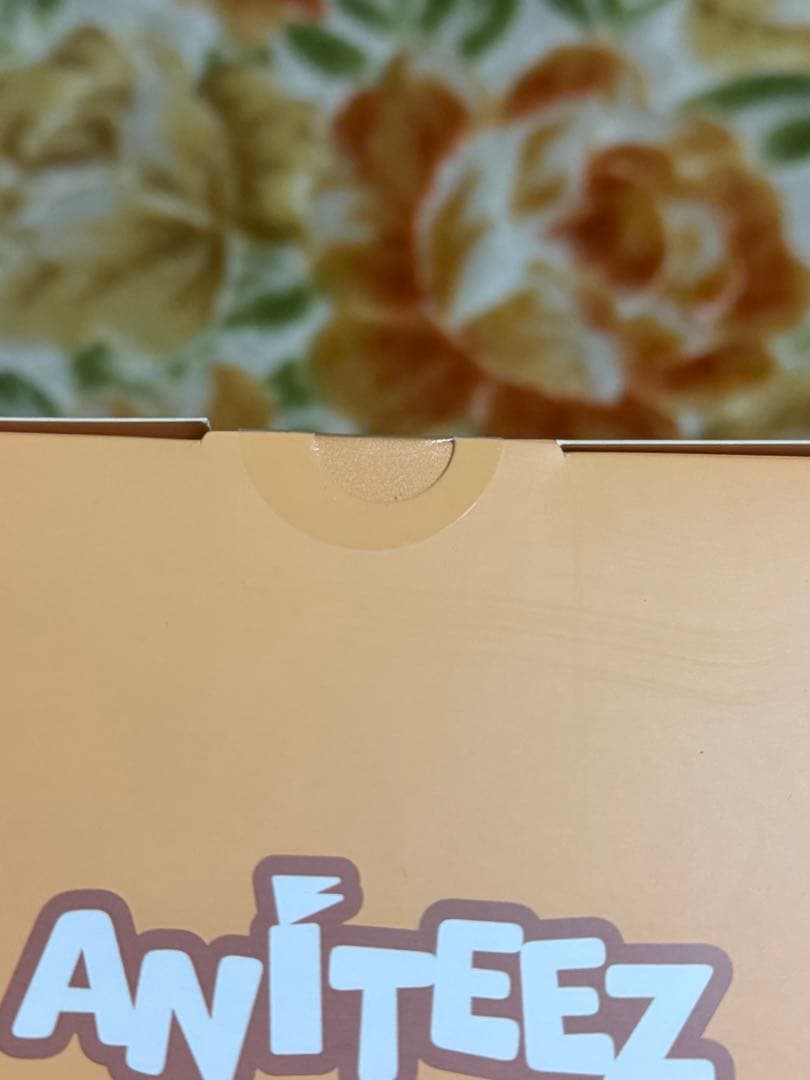 公式 aniteez ateez チュンラミ ホンジュン ぬいぐるみ plush