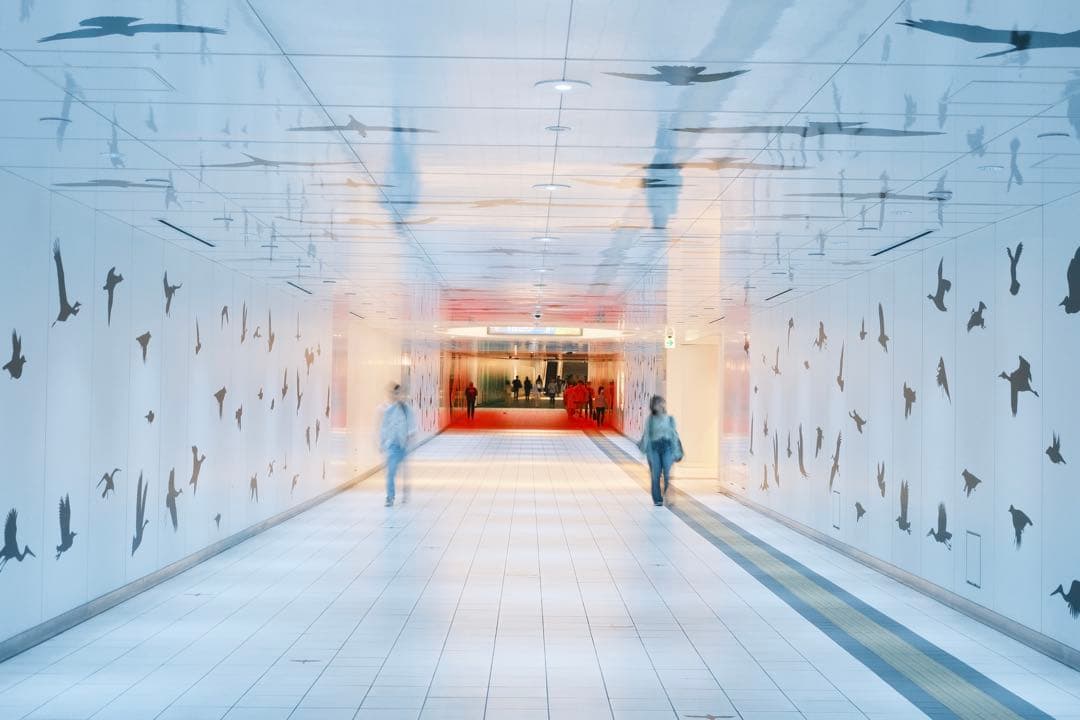 フジノンレンズ XF33mm f1.4 R LM WR