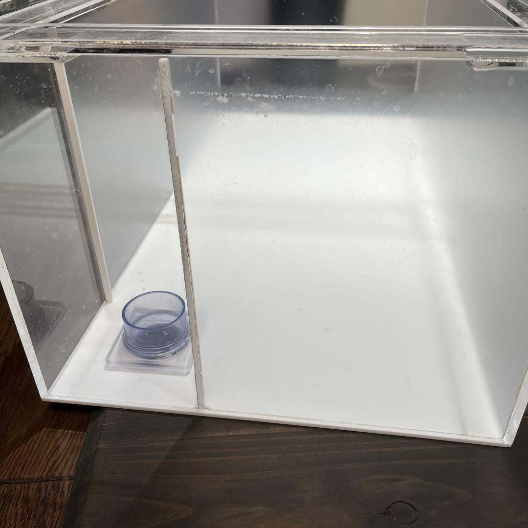 オーバーフロー水槽 アクリル製 透明　リフジュウム水槽セット