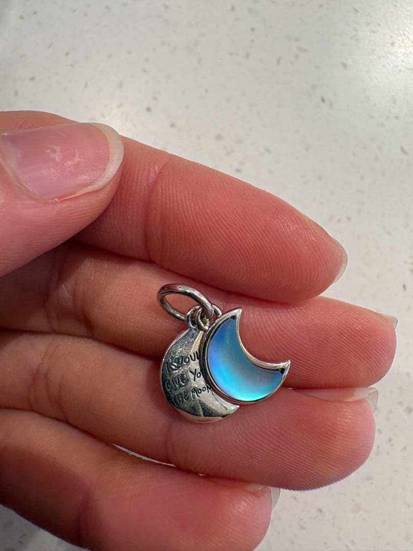 チャーム PANDORA CHARM