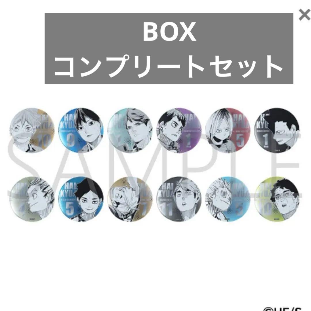 ハイキュー デコレクション缶バッジ 第3弾 ハイキューファンパーク